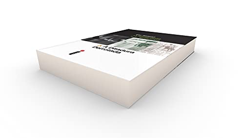 A ditadura derrotada: O sacerdote e o feiticeiro: 3