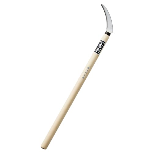 g AXp 5t Y { El ŝ؂鎞G̍؂Ȃǂɂ 