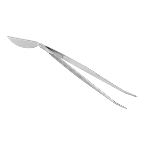 BRIGHTFUFU Gardening Mini Tools Bonsai Tweezers Set Precision Stainless Steel for Plant Care Bonsai Styling