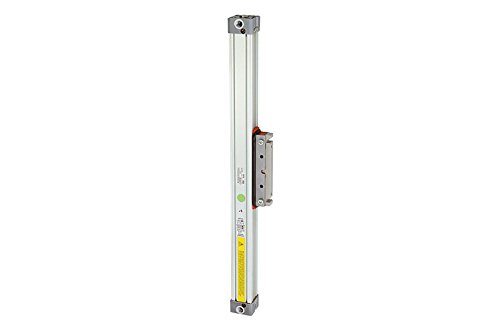 Cylindre sans tige RIEGLER double trame Ø 16 course 600 mm