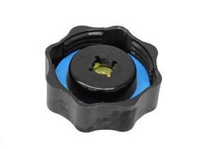 BMW Mini Cooper S Expansion Tank Cap