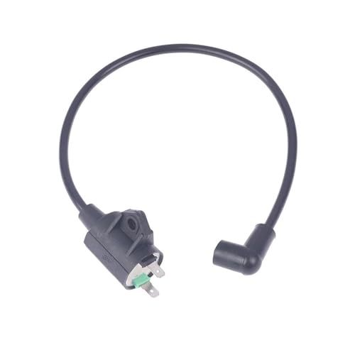 Bobina de encendido para generador eléctrico y moto: esencial para trabajos continuos