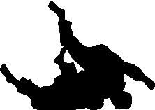 Martial Arts Throwing Silhouette Wall Decal Cutout