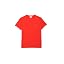 2|Red (Watermelon)