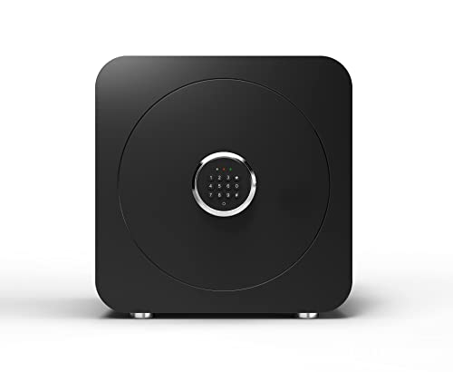 Petite caisse murale ignifuge CLSDRZC de 40 cm à code numérique - 4