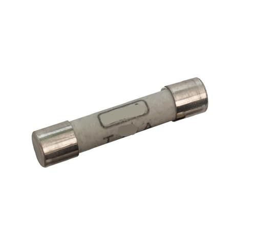 Fusible 189140 T250mA pour réparer les appareils de la maison
