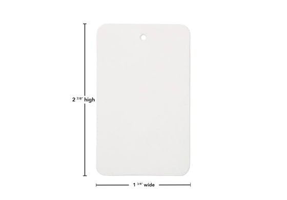 NAHANCO 4473TAG White Blank Price Tags 250/Carton (Pack of 250)