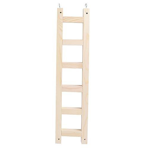 Toddmomy IE_[ؐXCO͂ A pmߋ AEghAVя CR IJCR ^IEp