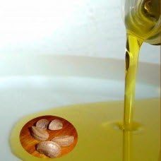 Paris Fragrances Brazil Nut Oil | Brazil Nut Oil