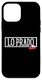 Lo Prado Chile Tourism Family Trip Vacation City