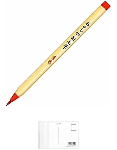  My VѕM F SR-301 y T{z + މhbgR |XgJ[hA