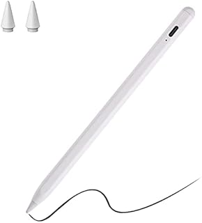 Stylus Touch Pen for Apple Ipad(2018-2022),Ipad Pencil With Palm Rejection,Tilting Detection,Magnetic Compatible with iPad Pro,iPad 6/7/8/9th,iPad Air 3rd/4th/5th,iPad Mini 5th/6th Gen(No Bluetooth).