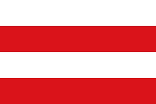 Drapeau Suure-Jaani résistant aux déchirures pour pavillon extérieur durable - 2