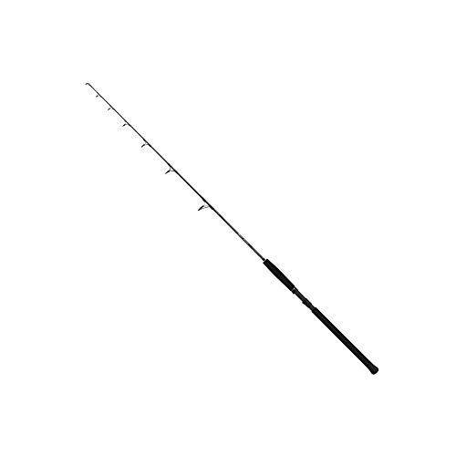 Fioli: 1 Rod Beastmaster Catfish Fireba