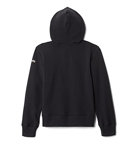 Columbia Boys' PFG Graphic Hoodie2