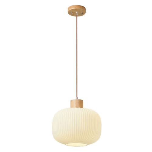 Ɩ _ Vv a KX Q ݂艺v Xg R[q[Vbv o[pi20cmj