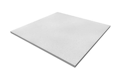 Paneles para falso techo fonoabsorbentes blancos de 60x60 cm para aislamiento acústico de techos de oficinas, tiendas, laboratorios (Paneles fisurados Planet, grosor 13 mm)
