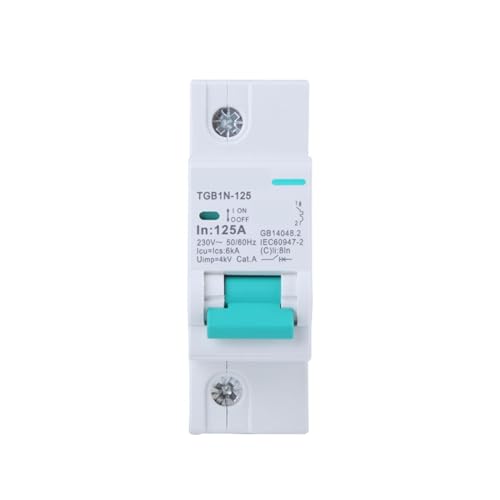 1Pcs TGB1N-125 C63/80/100/125A Miniature Circuit Breaker 1P2P3P4P Air Switch DZ47(TGB1N-125 1P 80A)