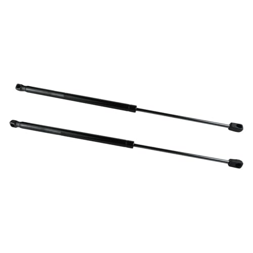 Support hayon électrique fluide et stable pour coffre Almera N16