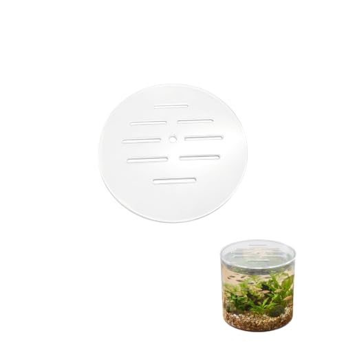 Round Filter-Hole Acrylic Lid