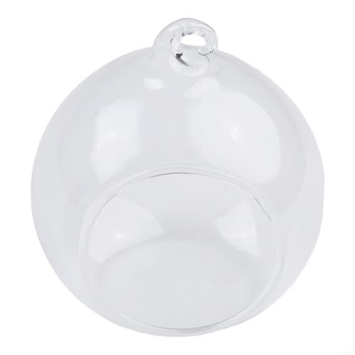 Jarrón colgante de vidrio de borosilicato transparente con boca abierta para plantas suculentas, terrario, decoración de interiores y jardín (8 cm)