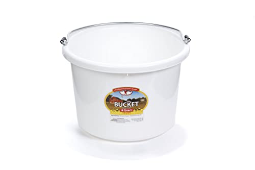Little Giant® Plastic Animal Feed Bucket | Round Plastic Feed Bucket with Metal Handle | Made in USA | 8 Quarts | White