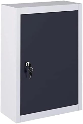 vidaXL Wall Mounted Tool Cabinet, Tool Organizer with Shelves, Tool Storage, Garage Cabinet for Home Office, Industrial Style, Metal Gray and Black