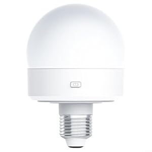 ZYNCUE Wiederaufladbare LED-Glühbirne mit Fernbedienung