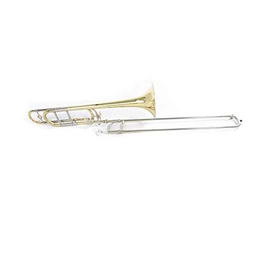 Roy Benson Trombón tenor en Sib/F TT-236F (válvula de cuarto de galón, calibre de 13,34 mm, campana de latón de 8", máxima brillantez de sonido, diseño ergonómico, en un práctico estuche con forma)