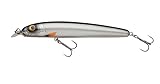 Abu Garcia Beast Hi-Lo Sinking Lure | Verstellbarer Raubfischköder mit Hi-Lo-System | Crankbait mit individueller Tiefeneinstellung für Hecht, Zander, Muskie | Sinkender Hartköder | Fegis, 10 cm