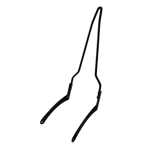 Sissy bar Indian Scout 101 Sport poignée passager acier robuste 60cm