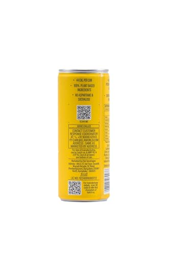 BLOODY BUBBLY LEMON SODA | Naturally Flavoured Soda | 44 Cal Per Can | No Added Artificial Flavours, Colours & Preservatives (250ml Each_Pack of 8)