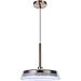 Craftmade 55192-SB-LED Centric LED 14 inch Satin Brass Pendant Ceiling Light