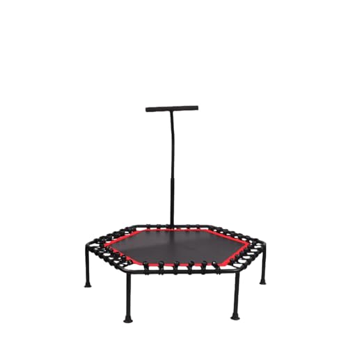 Kizareg|Alpg|Aqpg|AfށFPPAprF/OVяAL_f^Ag[jOAGNTTCY (肷t,bh)