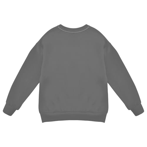 Toddler Crewneck Sweatshirt Boys Girls Fleece Lined Pullover Basic Long Sleeve Fall Spring Tops2
