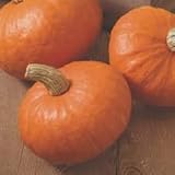 10 Winterkürbis Gemüsesamen Orange;Seeds Only