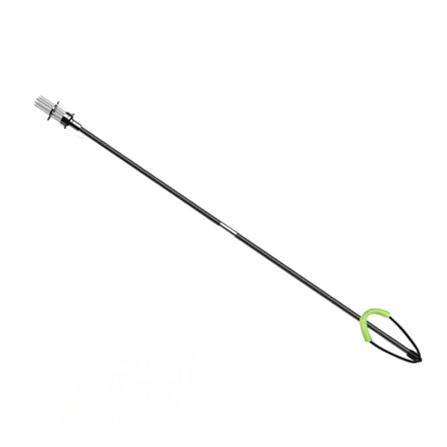 Vilom ŋp  eˎ  V 蓮 ˂ sK| tH[Nwbh e|  ނ蓹 C W XeX  ϋv x  ߊl (F{Ɓi1.2[gj)