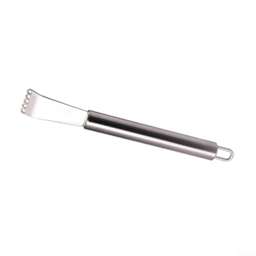 Rallador de cítricos de acero inoxidable con 5 agujeros, limpieza rápida, accesorio de cocina para limón, naranja, frutas y verduras
