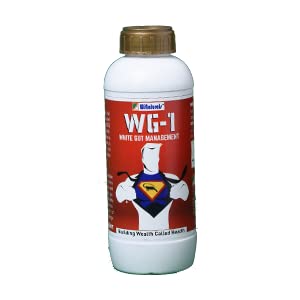 Winatural WG-1 Aquatic Feed Supplement