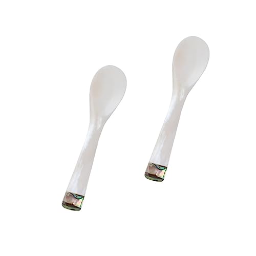 OUNONA 2 Piezas cuchara de conchas naturales Cucharilla de café de concha Cucharilla de café práctica caldo cucharas de helado cuchara para cuchara de café de concha caparazón