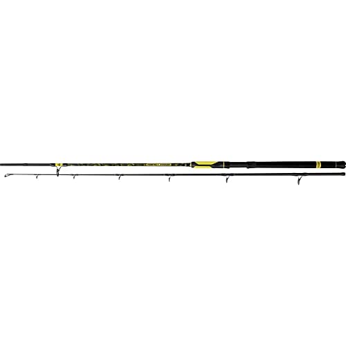 Black Cat Canne à pêche de qualité supérieure Perfect Passion Spin - Canne à pêche - pour pêche au Poisson-Chat - Poids de Lancer : 60 à 200 g -...