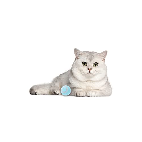 Found Notice Smart Interactive Cat Toy，Moving Rolling Cat Toys For Indoor Cats To Keep Fit And Active，Automatic Pet Exercise Toys,Poofplay Balls,Kitty Gifts Blue,Type-C #TOP7