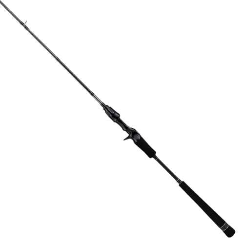 �e�C���E�H�[�N(tailwalk) ���^���]�� BM (METALZON BM) C62M/GSL