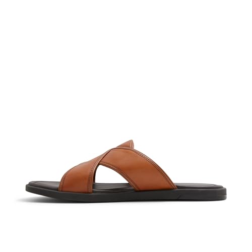 ALDO Men's Olino Slide Sandal