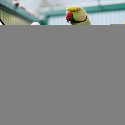 Vogelkäfig Tränke Automat - Automatischer Futterautomat Für Vogelkäfig | Leichte Montage Für Papageien Agaporniden Sittiche Kanarienvögel Wellensittiche Aras