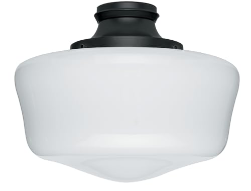 Hunter Ceiling Fan Light Kit - Original Damp Rated Traditional Globe, Black Finish, Replacement Light Fixture for Bedroom, Bathroom, Kitchen, or Covered Outdoor Areas - 99165