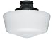 Hunter Fan Company Hunter Fan Company 99165 Traditional Globe- Black