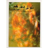 Streamer Phantom : Steven Cheung impression photographic collection 9573907208 Book Cover