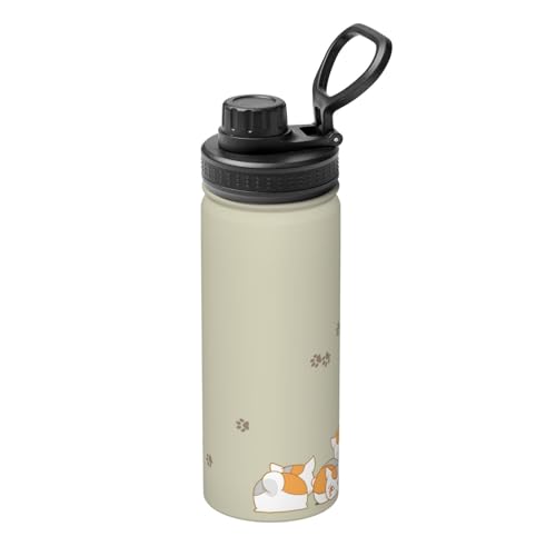  ĖڗFl ɂ񂱐搶 500ml XeX{g }O{g  L[nht ^ѕ֗ RpNg ۉۗ