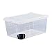 Leefasy Reptile Feeding Box,Transparent Terrarium Habitat Cage Transport Breeding Box with Feeder Bowl for Frog Treefrog Snake, 38x24x17cm